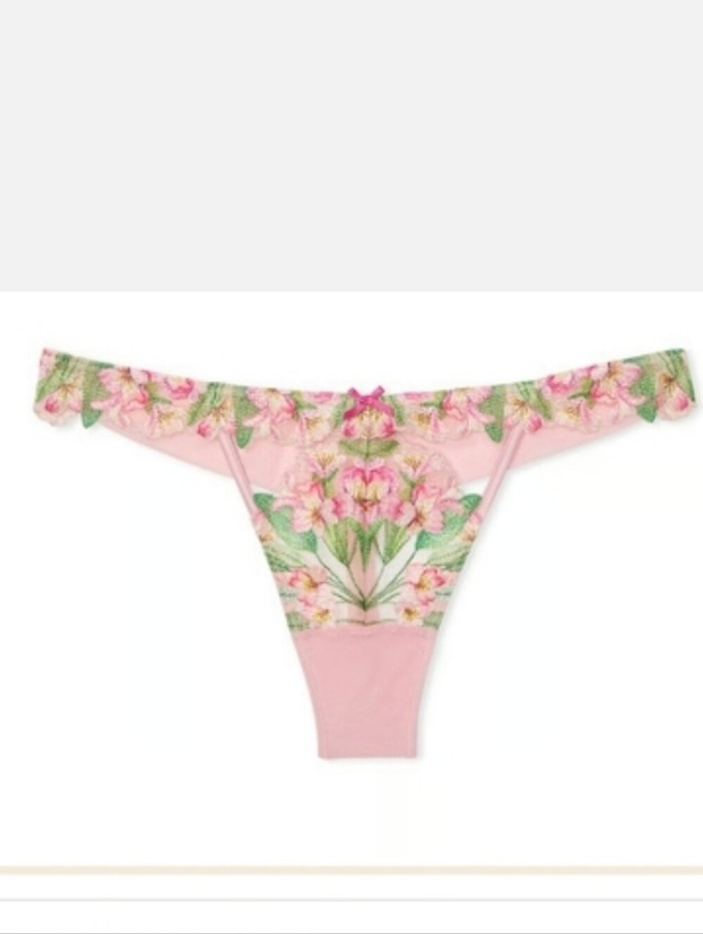 Victoria's secret DREAM ANGELS Lily Embroidery Thong Panty XLARGE